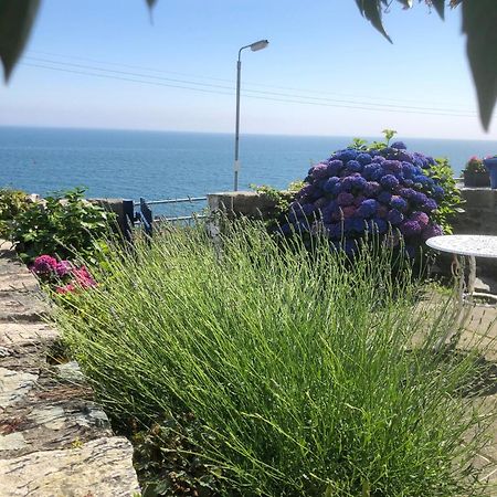 Slieve Donard Cottage Widows Row Cottages نيوكاسل المظهر الخارجي الصورة